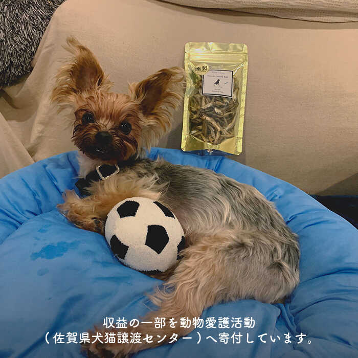 【定期便6回】犬と猫の無添加おやつ☆お塩不使用☆黄金の燻製にぼし [FCG030]