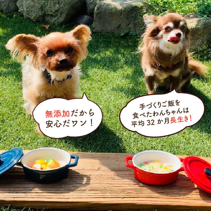 犬の無添加ごはん☆具だくさんカレー＆クリームシチュー＆ミネストローネ☆スモークソーセージ入り（各2袋・全6袋） 吉野ヶ里町/わんこin食堂 [FCG036]