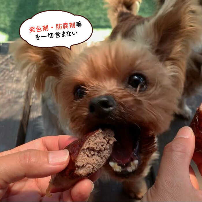 犬の無添加おかず☆燻製の香りがたまらないスモークチキン＆いのししソーセージ 吉野ヶ里町/わんこin食堂 [FCG040]