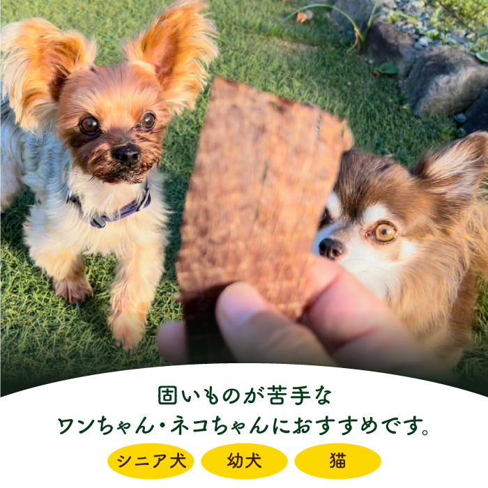 シニア犬＆幼犬＆猫用の無添加おやつ☆固すぎない天然いのししジャーキー 吉野ヶ里町/わんこin食堂 [FCG044]