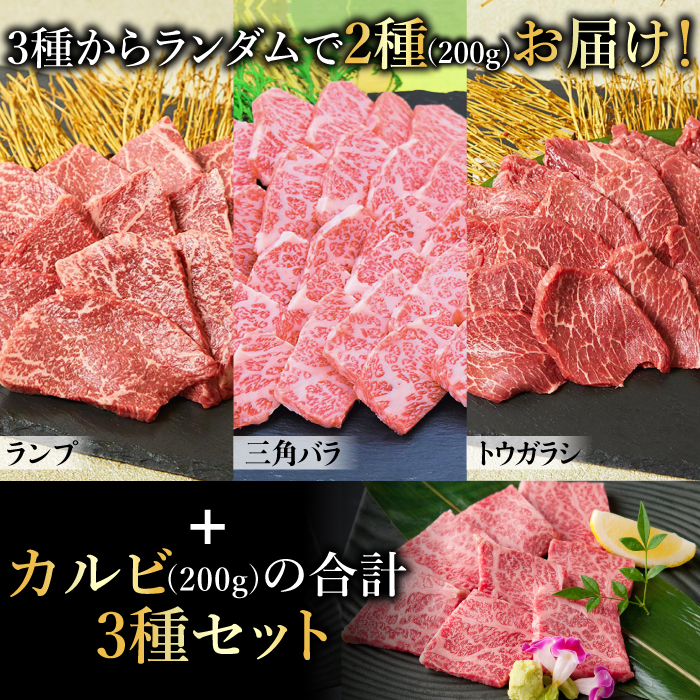 ＜ひとり贅沢＞佐賀牛 希少部位含むおまかせ焼肉セット3種400g【ミートフーズ華松】 [FAY064]