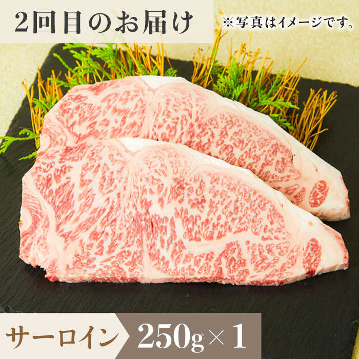 ＜3回定期便＞1ヶ月に1度の佐賀牛ひとり贅沢コース ステーキ/焼肉/スライス【ミートフーズ華松】 [FAY065]