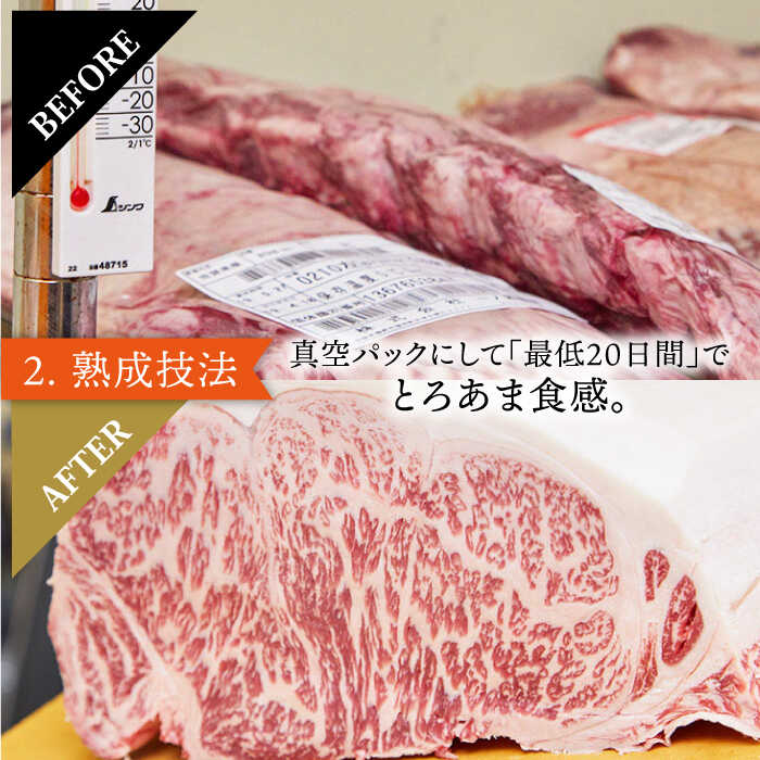 ＜3回定期便＞1ヶ月に1度の佐賀牛ひとり贅沢コース ステーキ/焼肉/スライス【ミートフーズ華松】 [FAY065]