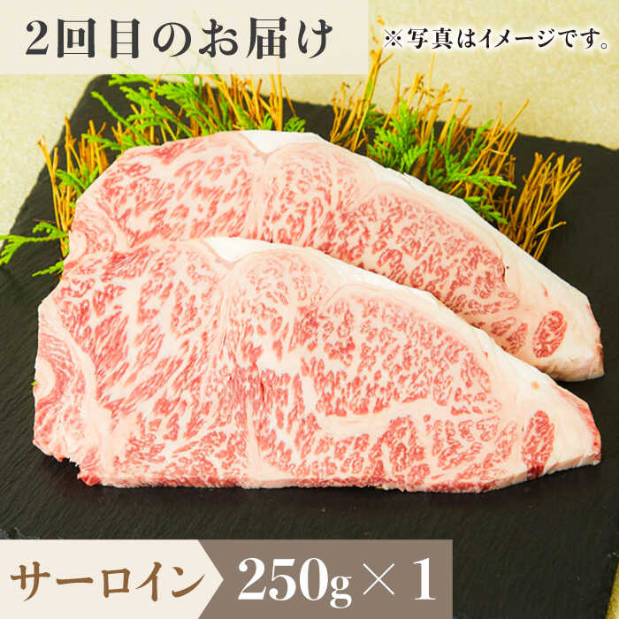 ＜6回定期便＞1ヶ月に1度の佐賀牛ひとり贅沢コース ステーキ/焼肉/スライス【ミートフーズ華松】 [FAY066]