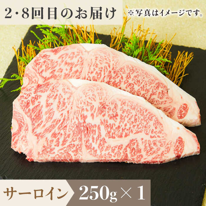 ＜12回定期便＞1ヶ月に1度の佐賀牛ひとり贅沢コース ステーキ/焼肉/スライス【ミートフーズ華松】 [FAY067]