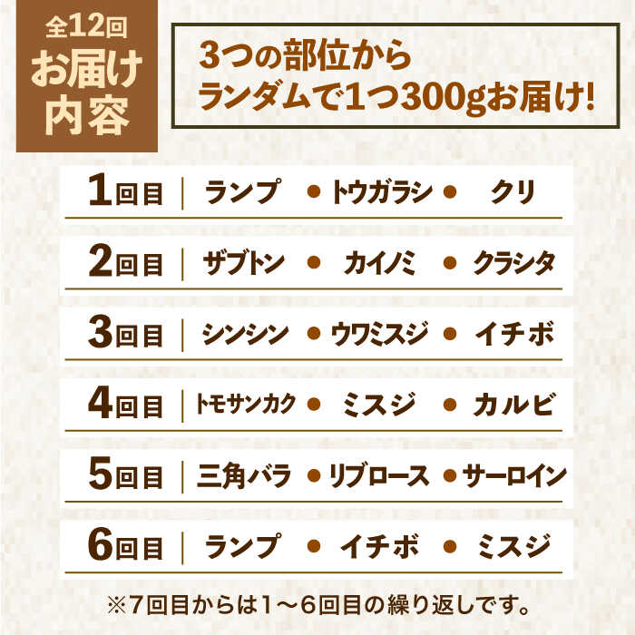 ＜12回定期便＞佐賀牛希少部位含む～ひとり贅沢焼肉コース～ ランプ/クリ/トウガラシ/ザブトン/カイノミなど【ミートフーズ華松】 [FAY073]