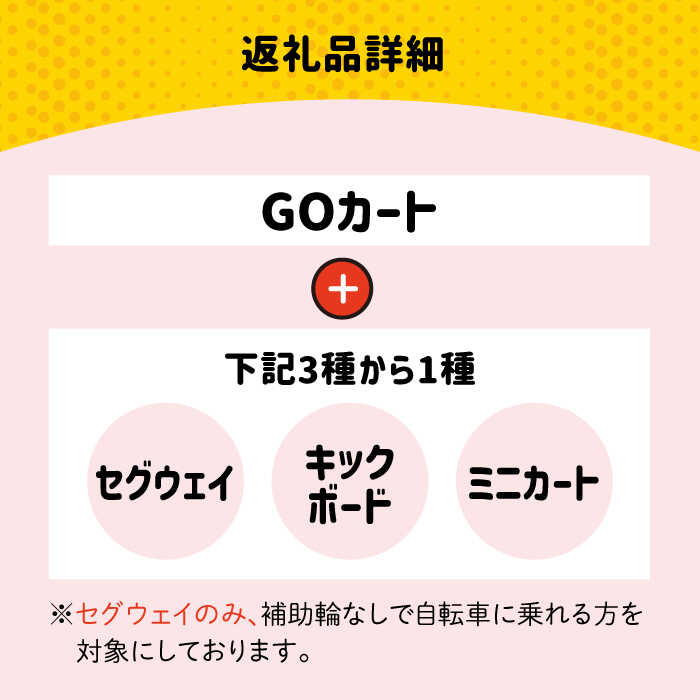 ＜人気体験の欲張りセット！＞ゴーカート30分＆セグウェイ・キックボード・ミニカートの中から1種選べる30分利用券 吉野ヶ里/e-ビークルパーク [FCS003]