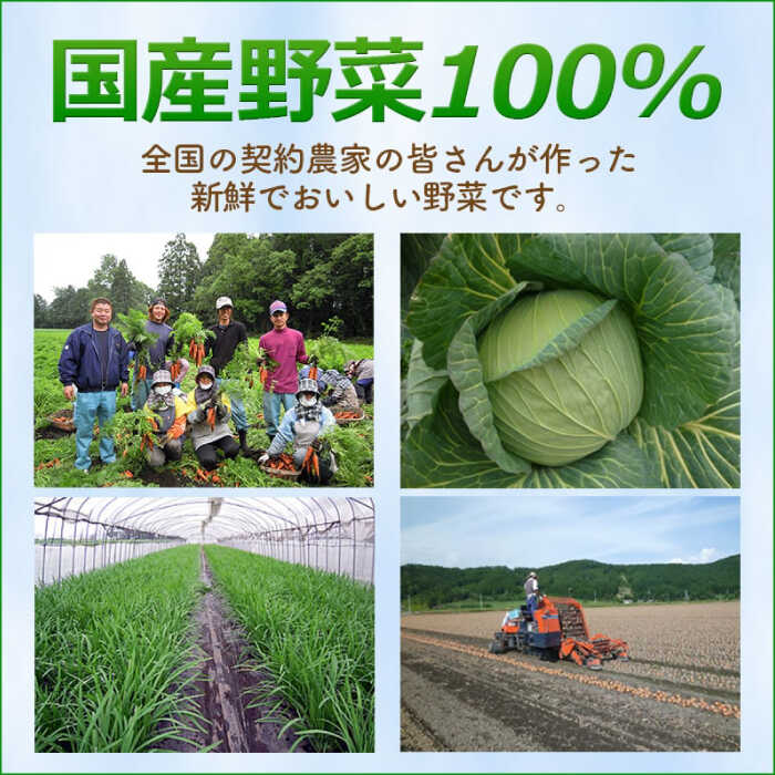 ＜おいしさそのまま！塩分45%カット＞リンガーハット 減塩ちゃんぽん 8食セット 冷凍 国産 吉野ヶ里町/リンガーフーズ [FBI025]