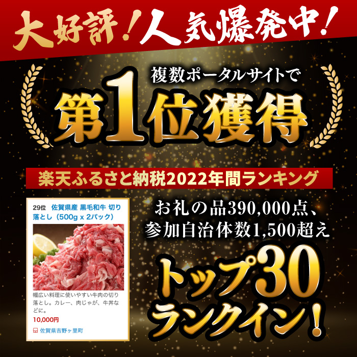 人気爆発中！！！ 佐賀県産 黒毛和牛 切り落とし 1,000g (500g×2パック) 【24年6月以降順次発送】 吉野ヶ里町/石丸食肉産業[FBX001]