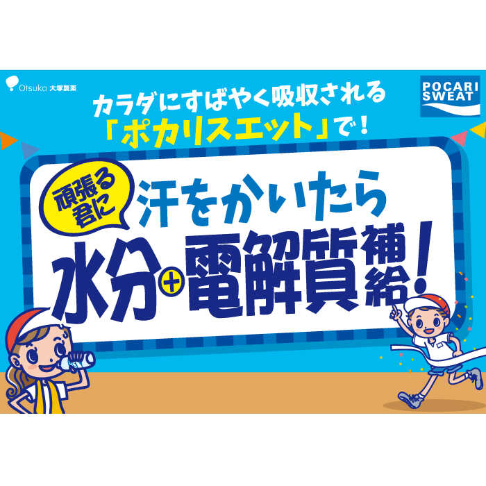 【熱中症対策】＜3回定期便＞ 500ml×24本 900ml×12本セット ポカリスエット 大塚製薬株式会社/吉野ヶ里町 [FBD018]