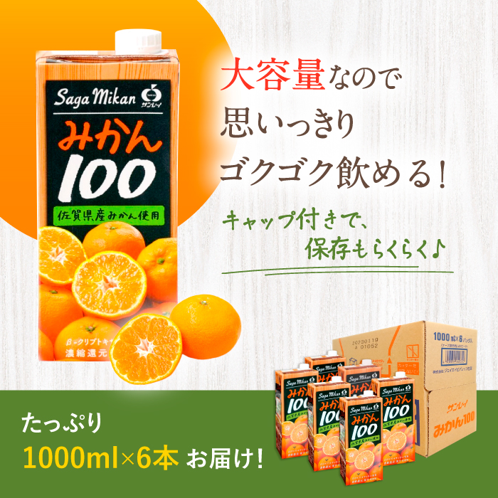 サンレイみかんジュース「みかん100」1000ml×6本 吉野ヶ里町/リエンサーク [FCC016]