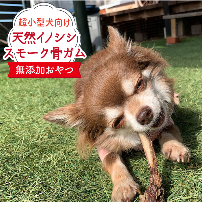 超小型犬向け☆天然いのししのスモーク骨ガム100g わんこin食堂/吉野ヶ里町 [FCG061]