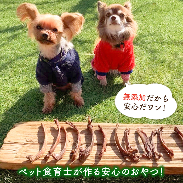 超小型犬向け☆天然いのししのスモーク骨ガム100g わんこin食堂/吉野ヶ里町 [FCG061]