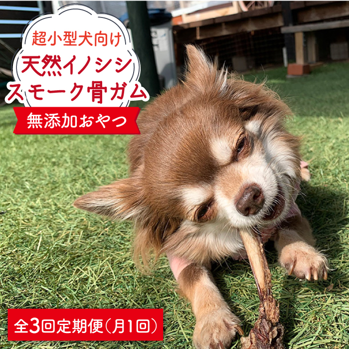 ＜3回定期便＞超小型犬向け☆天然いのししのスモーク骨ガム100g わんこin食堂/吉野ヶ里町 [FCG062]