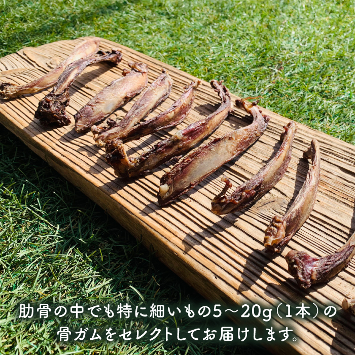 ＜3回定期便＞超小型犬向け☆天然いのししのスモーク骨ガム100g わんこin食堂/吉野ヶ里町 [FCG062]