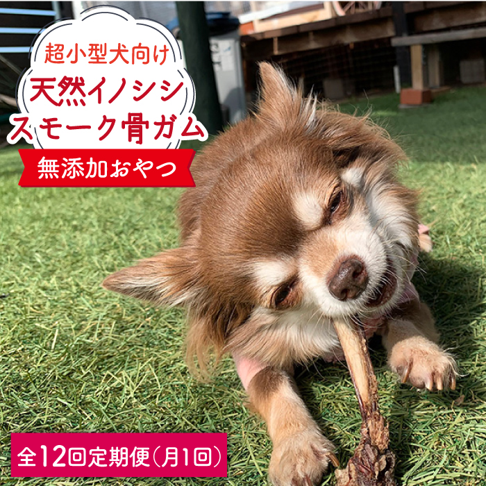 ＜12回定期便＞超小型犬向け☆天然いのししのスモーク骨ガム100g わんこin食堂/吉野ヶ里町 [FCG064]