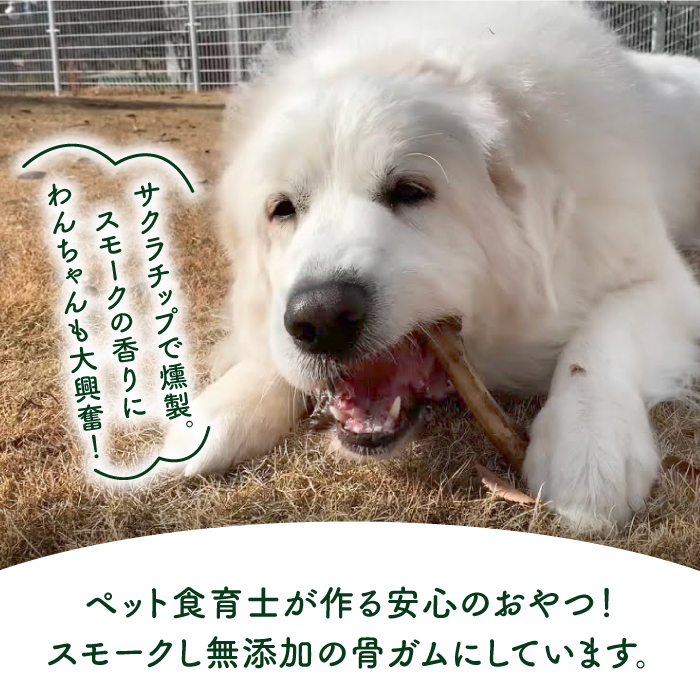 ＜3回定期便＞大型犬向け☆天然いのししのスモーク骨ガム3本 わんこin食堂/吉野ヶ里町 [FCG070]