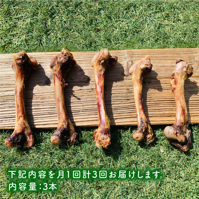 ＜3回定期便＞大型犬向け☆天然いのししのスモーク骨ガム3本 わんこin食堂/吉野ヶ里町 [FCG070]