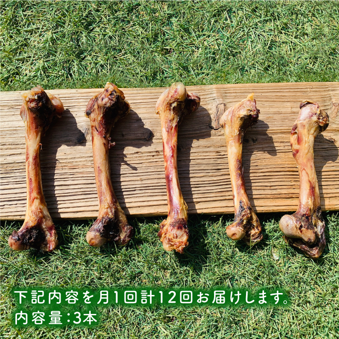 ＜12回定期便＞大型犬向け☆天然いのししのスモーク骨ガム3本 わんこin食堂/吉野ヶ里町 [FCG072]