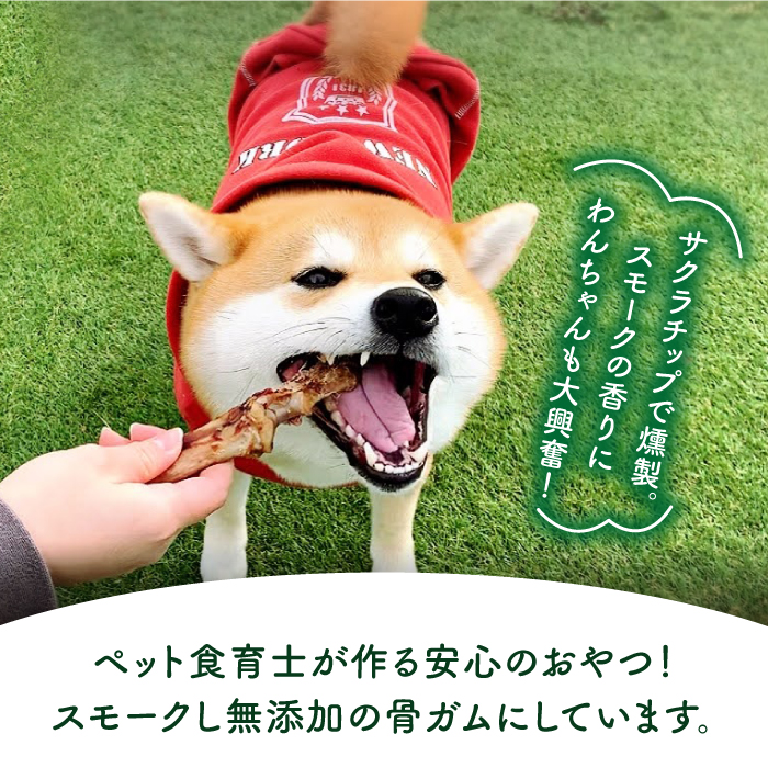 ＜3回定期便＞中型犬向け☆天然いのししのスモーク骨ガム4本 わんこin食堂/吉野ヶ里町 [FCG073]