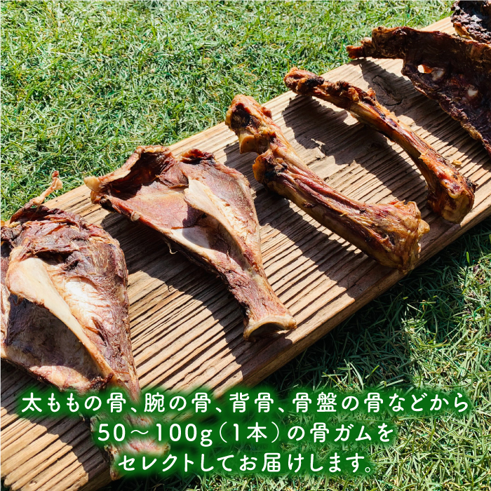 ＜6回定期便＞中型犬向け☆天然いのししのスモーク骨ガム4本 わんこin食堂/吉野ヶ里町 [FCG074]