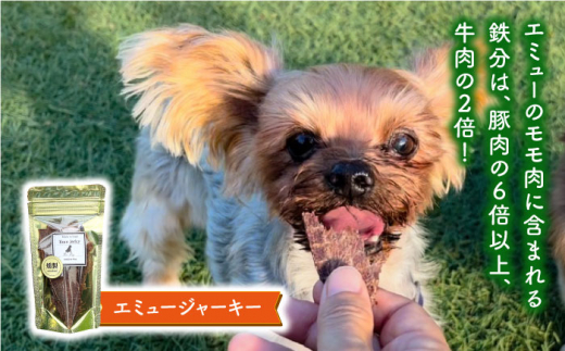 シニア犬＆幼犬の無添加おやつ☆燻製の香りがたまらないチキン＆エミュージャーキー各2個【わんこin食堂】/吉野ヶ里町 [FCG077]