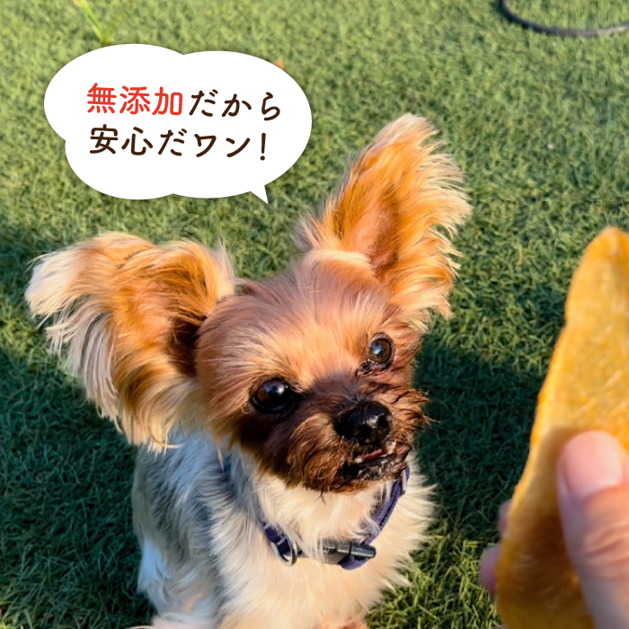 犬の無添加おやつ☆燻製の香りがたまらないスモークチキンジャーキー【わんこin食堂】 [FCG032]