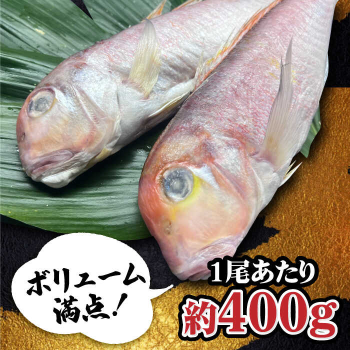 びっくりビッグサイズ！甘鯛一夜干し2尾（1尾あたり約400g） おつまみ 酒の肴 焼き物にぴったり 吉野ヶ里町/やきとり紋次郎 [FCJ075]