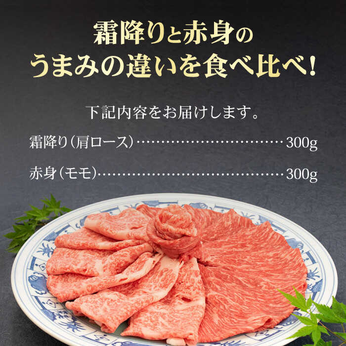 ＜和牛最高級ブランド＞佐賀牛 赤身＆霜降り スライス食べ比べセット 吉野ヶ里町/ミートフーズ華松 [FAY090]