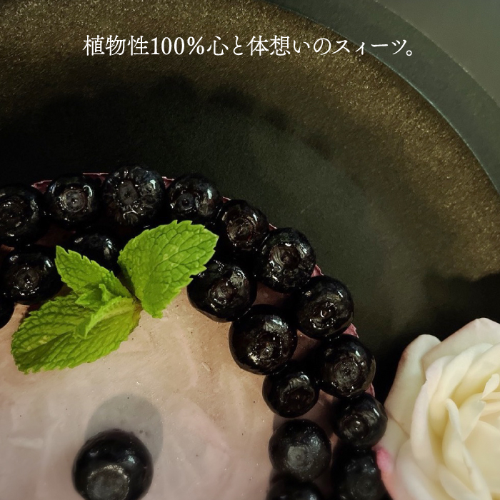 植物性100％ Vegan Raw Cake Blueberry（ブルーベリー/Mサイズ）お砂糖・小麦粉・乳製品不使用のスイーツ ヴィーガンローケーキ 吉野ヶ里町/Dondonyokunaru [FCF053]