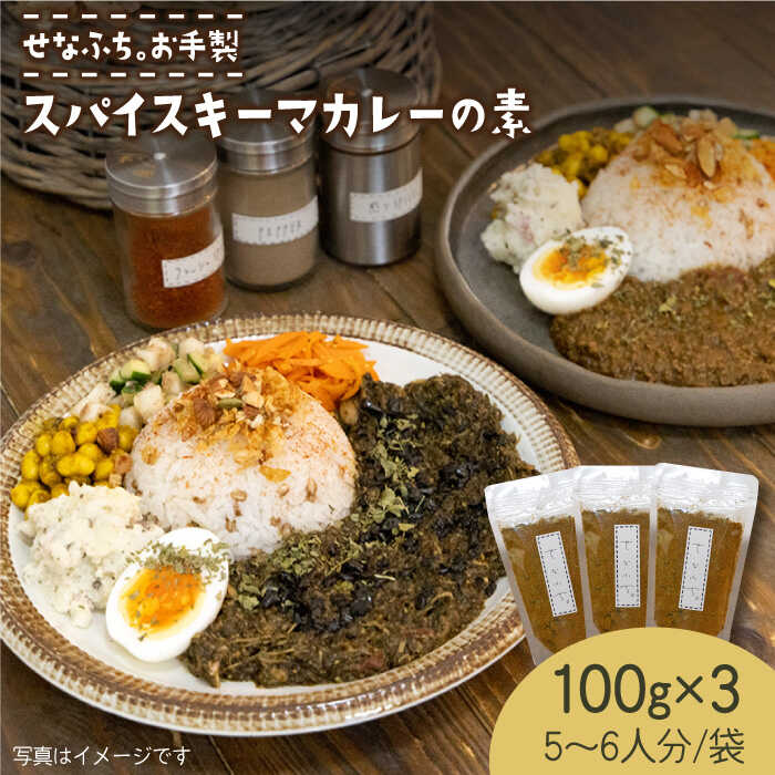 ＜人気店カレー店のスパイス＞スパイスキーマカレーの素100g （5～6人分）×3袋 せなふち。/吉野ヶ里町 [FCM007]