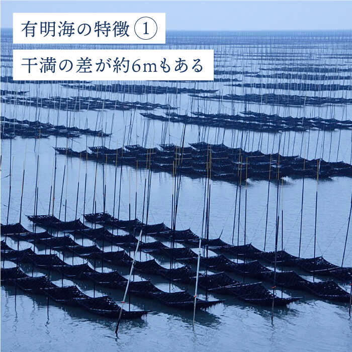 ＜塩のり＞佐賀海苔ボトル（10切56枚）2本セット 株式会社サン海苔/吉野ヶ里町 [FBC033]