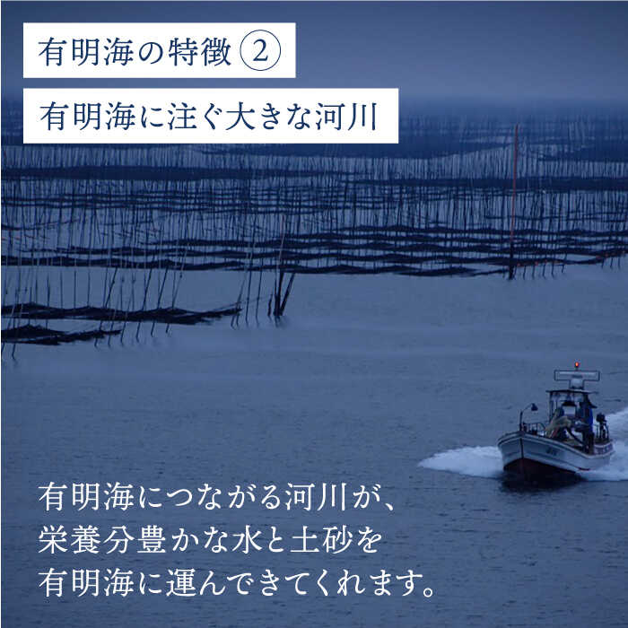 ＜塩のり＞佐賀海苔ボトル（10切56枚）2本セット 株式会社サン海苔/吉野ヶ里町 [FBC033]