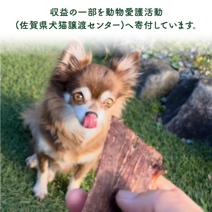 シニア犬＆幼犬＆猫用の無添加おやつ☆固すぎない天然いのししジャーキー 吉野ヶ里町/わんこin食堂 [FCG044]