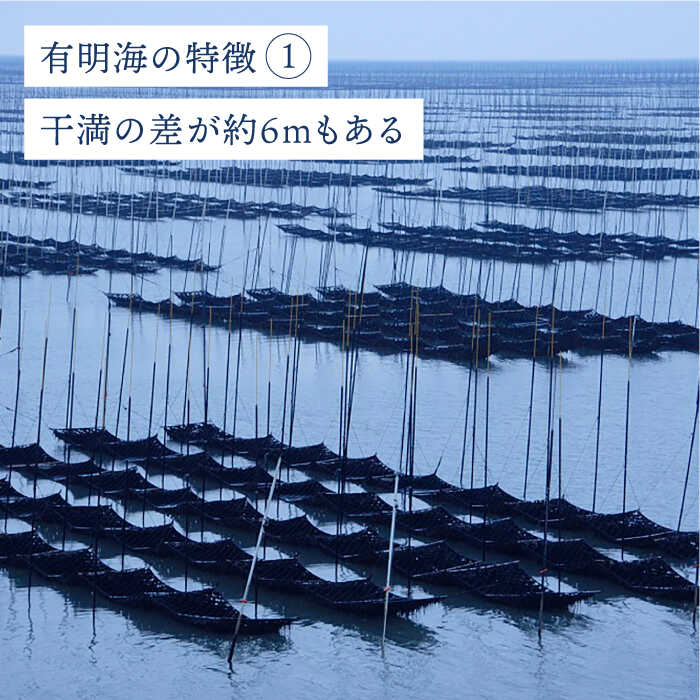 ＜味付けのり＞佐賀海苔 吉野ヶ里40束（10切5枚40袋） 株式会社サン海苔/吉野ヶ里町 [FBC045]