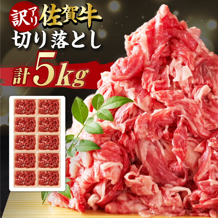 【不揃い訳あり・部位おまかせ】 佐賀牛 切り落とし 肩orバラ 計5kg （500g×10P） 吉野ヶ里町 [FDB002]