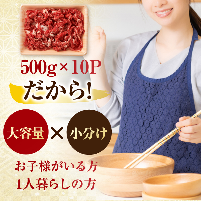 【不揃い訳あり・部位おまかせ】 佐賀牛 切り落とし 肩orバラ 計5kg （500g×10P） 吉野ヶ里町 [FDB002]