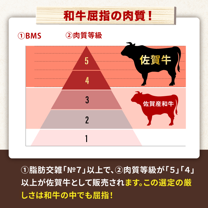 【不揃い訳あり・部位おまかせ】 佐賀牛 切り落とし 肩orバラ 計5kg （500g×10P） 吉野ヶ里町 [FDB002]