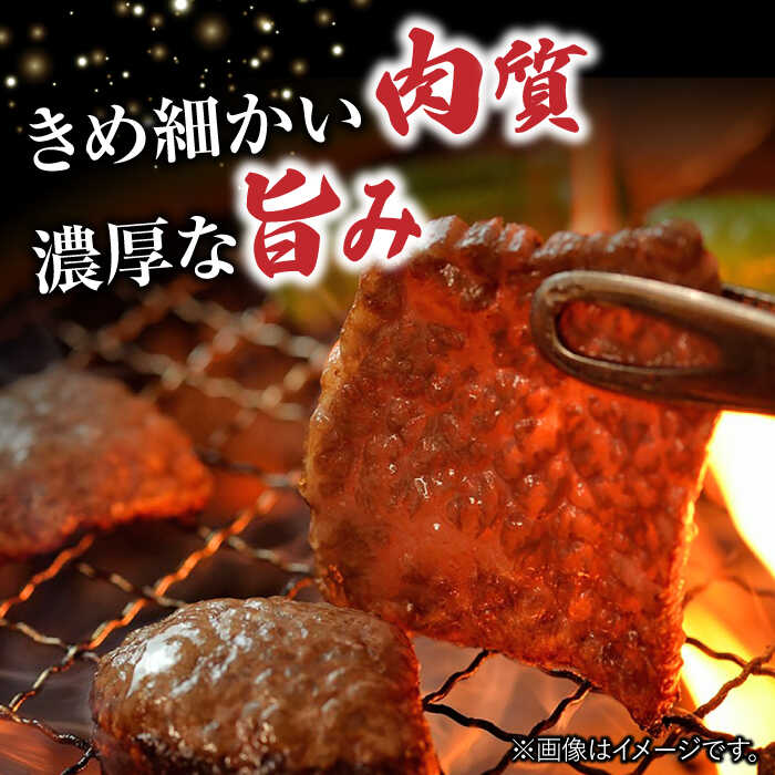 佐賀牛 肩ロース 焼肉用 計500g（250g×2パック） 吉野ヶ里町/一ノ瀬畜産 [FDC002]