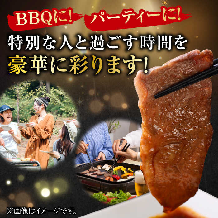 佐賀牛 肩ロース 焼肉用 計500g（250g×2パック） 吉野ヶ里町/一ノ瀬畜産 [FDC002]