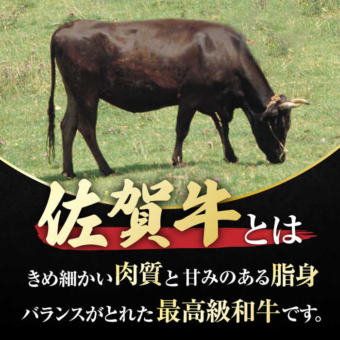 佐賀牛 ロースステーキ4枚とサイコロステーキ 計 1kg （ 500g ×2パック ） 吉野ヶ里町/一ノ瀬畜産 [FDC005]