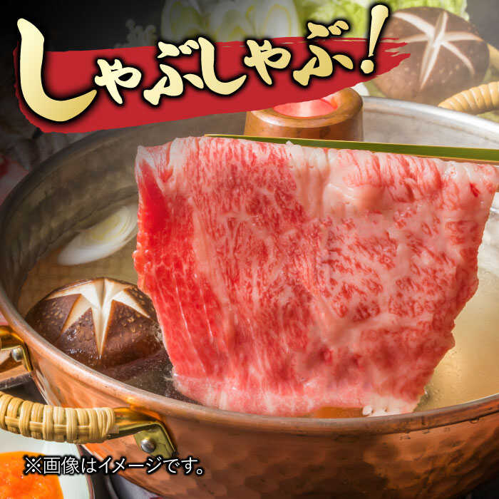 佐賀牛 ロース薄切り 計 600g （300g×2パック） 吉野ヶ里町/一ノ瀬畜産 [FDC011]