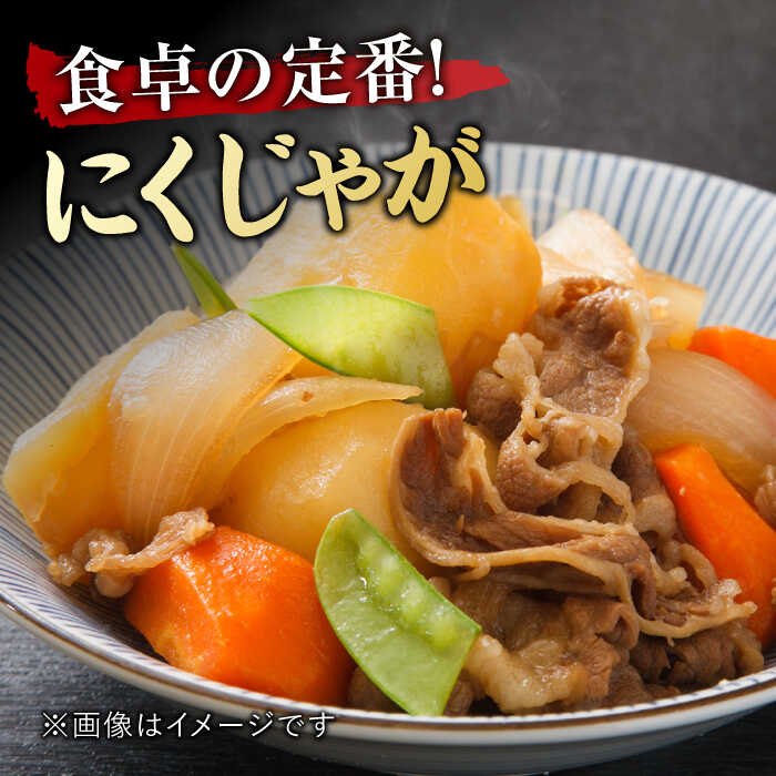 艶さし！ 佐賀牛 切り落とし 肩orバラ 500g 吉野ヶ里町 [FDB006]