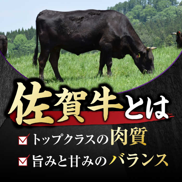 艶さし！ 佐賀牛 切り落とし 肩orバラ 500g 吉野ヶ里町 [FDB006]