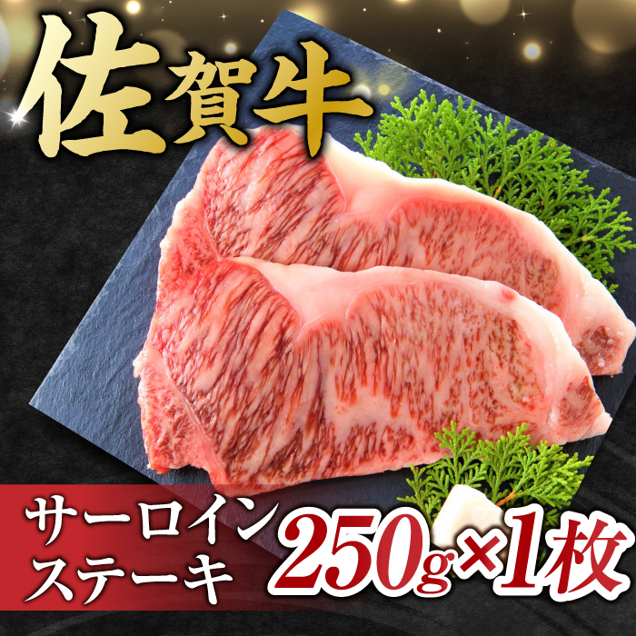 艶さし ！ 佐賀牛 サーロインステーキ 250g （250g×1枚） 吉野ヶ里町 [FDB009]