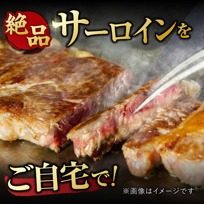 艶さし ！ 佐賀牛 サーロインステーキ 250g （250g×1枚） 吉野ヶ里町 [FDB009]