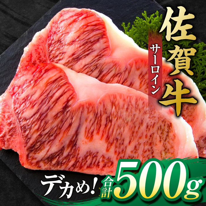 艶さし ！ 佐賀牛サーロインステーキ 500g （ 250g ×2枚） 吉野ヶ里町 [FDB010]