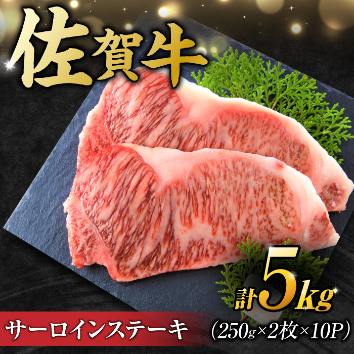 【不揃い訳あり】 佐賀牛 サーロインステーキセット 5kg （ 250g 2枚入り×10パック） 吉野ヶ里町 [FDB012]