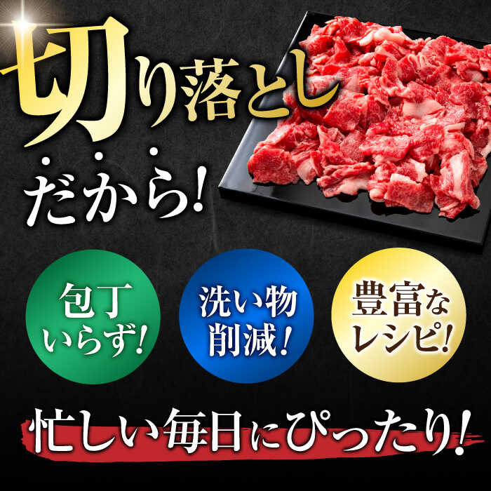 佐賀牛 切り落とし 計 600g （ 150g ×4パック） 吉野ヶ里町/一ノ瀬畜産 [FDC008]