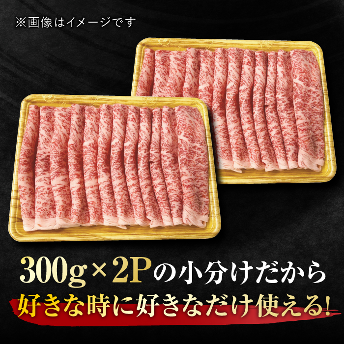 小分けが嬉しい！ 艶さし 佐賀牛 ローススライス 600g（300g×2P） 吉野ヶ里町 [FDB019]